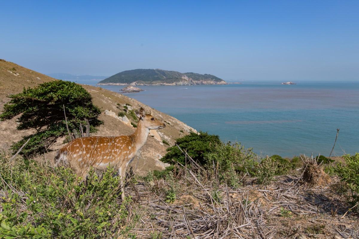 大坵島の美景