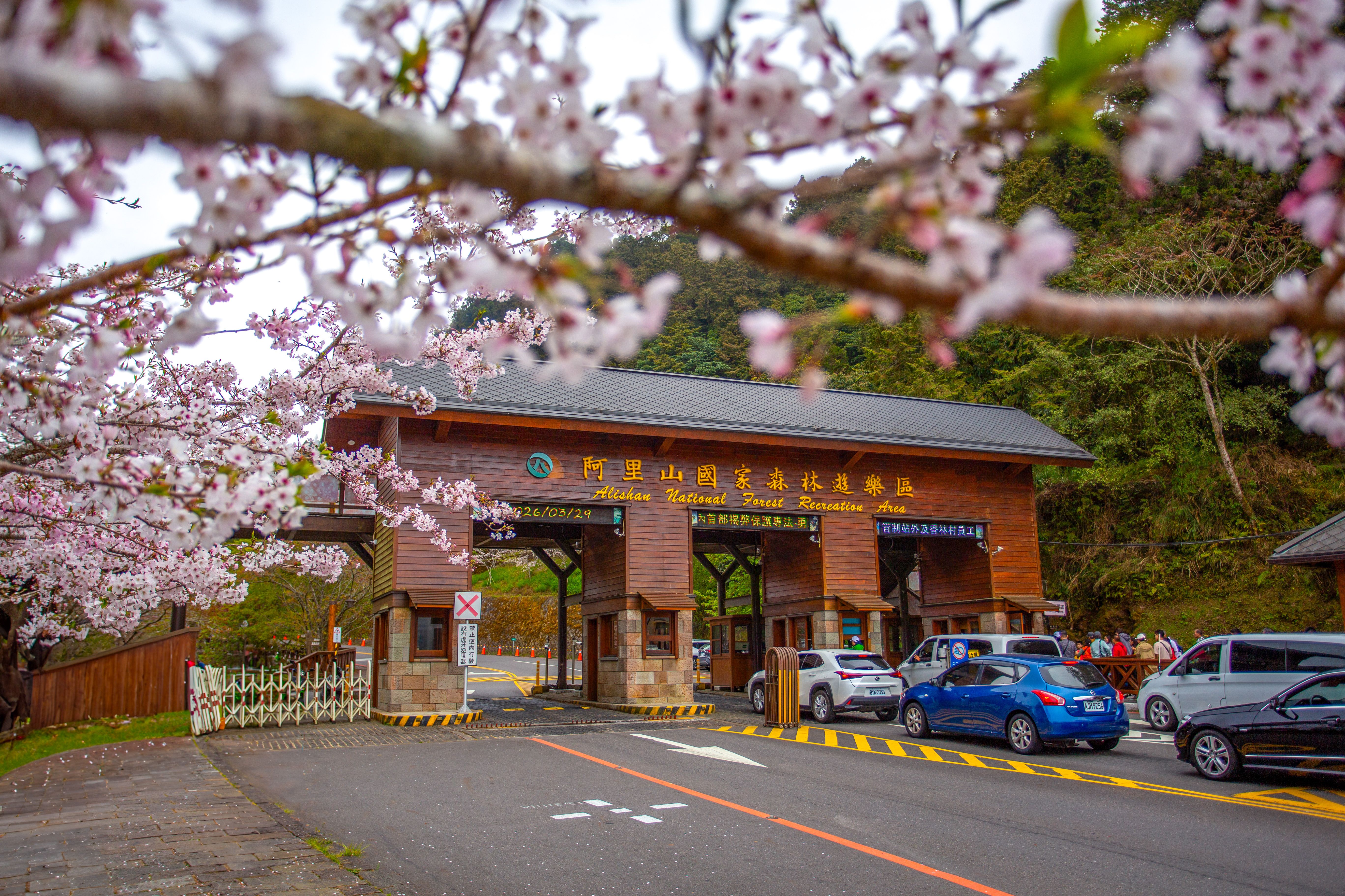 阿里山国家森林遊楽区