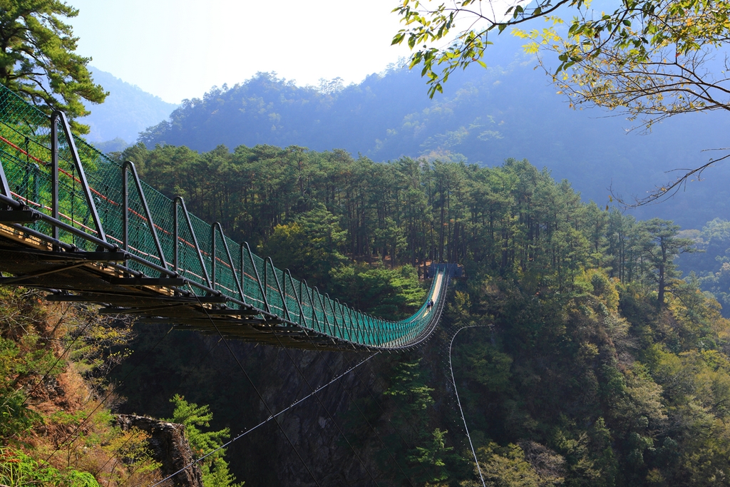 奥万大吊り橋