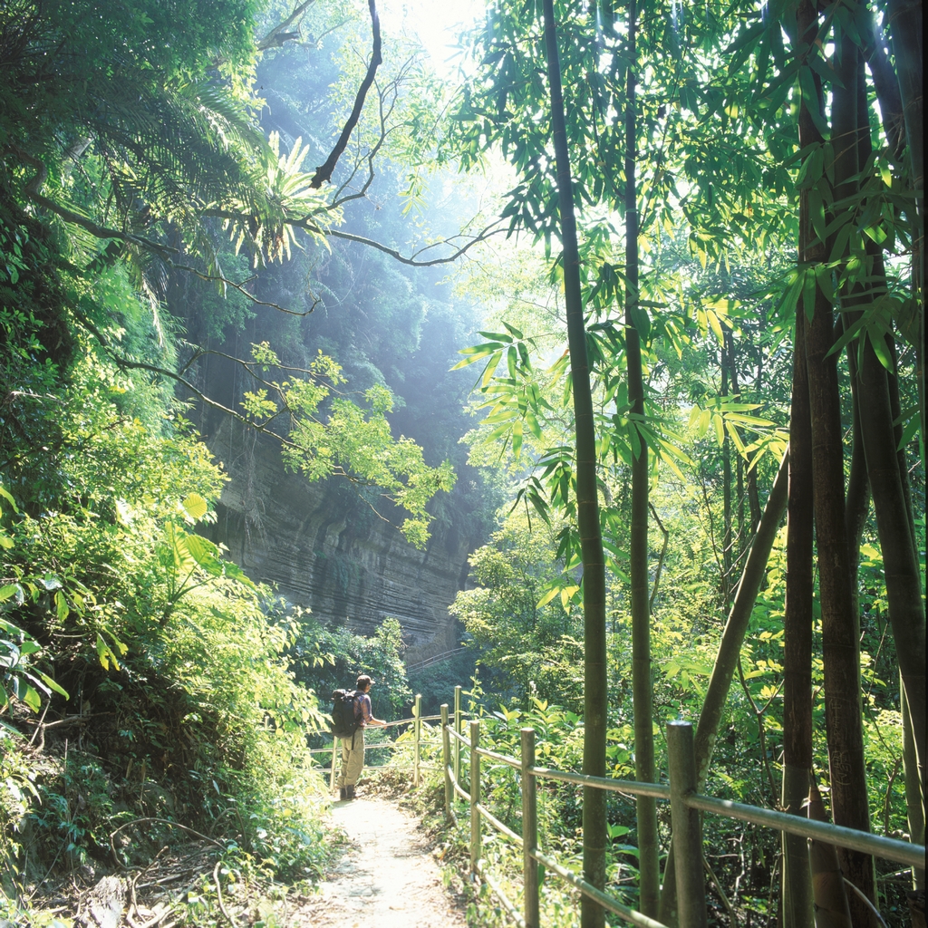 瑞里風景区