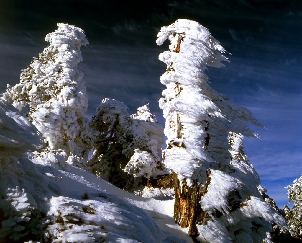 雪の景色