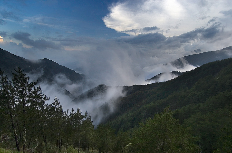 関山、埡口