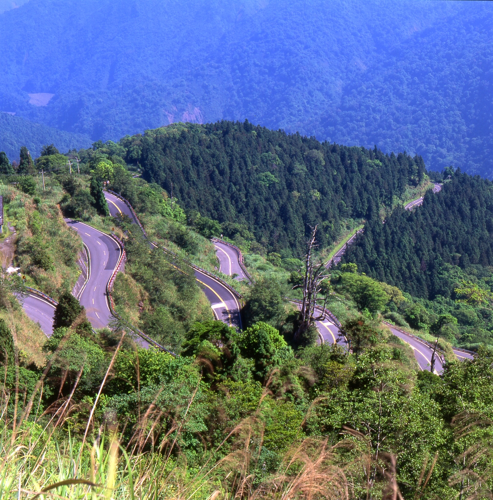 太平山国家森林遊楽区