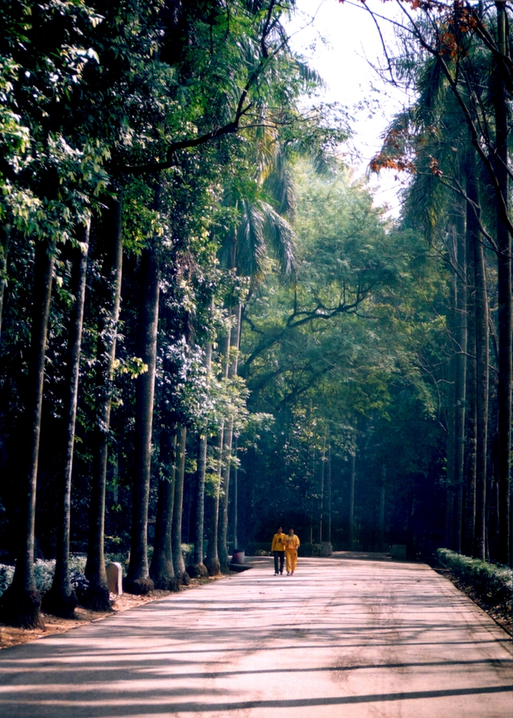 嘉義樹木園