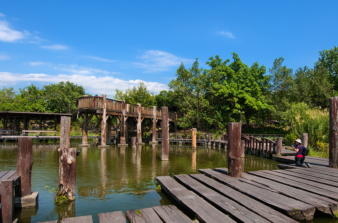 羅東運動公園湿生植物区