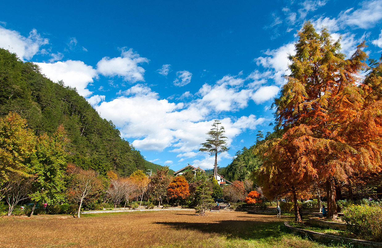 紅葉とイチョウ