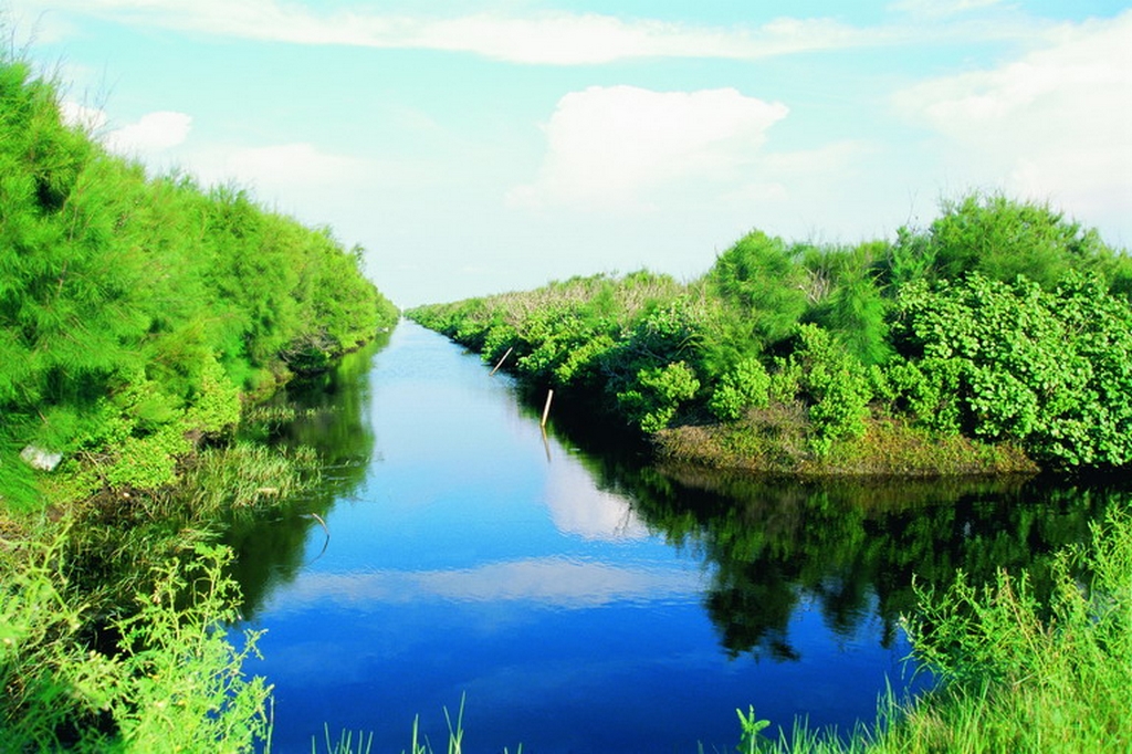 鰲鼓湿地