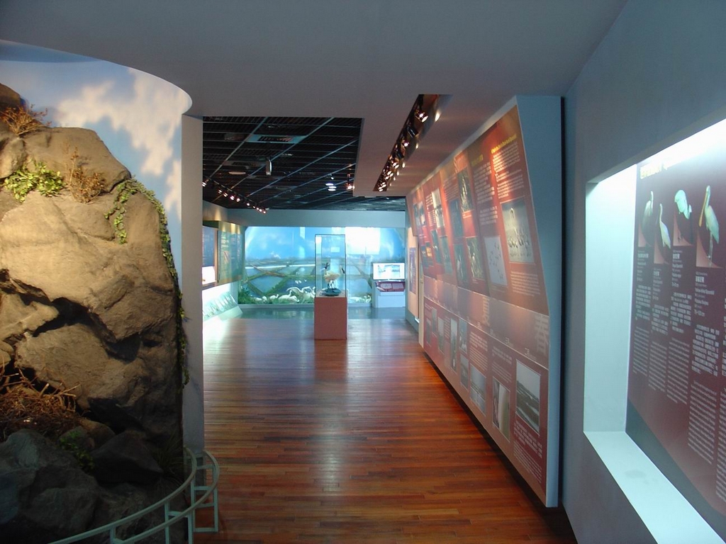 クロツラヘラサギ生態展示館