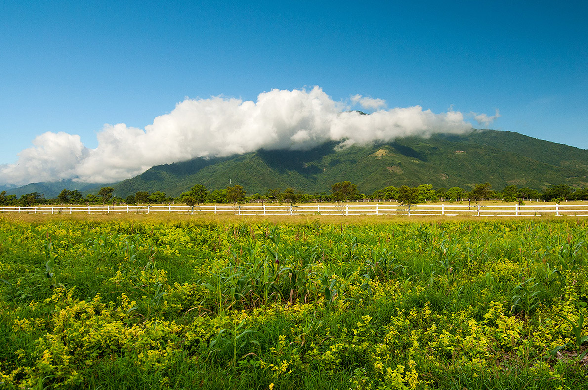 池上牧野リゾート村の風景