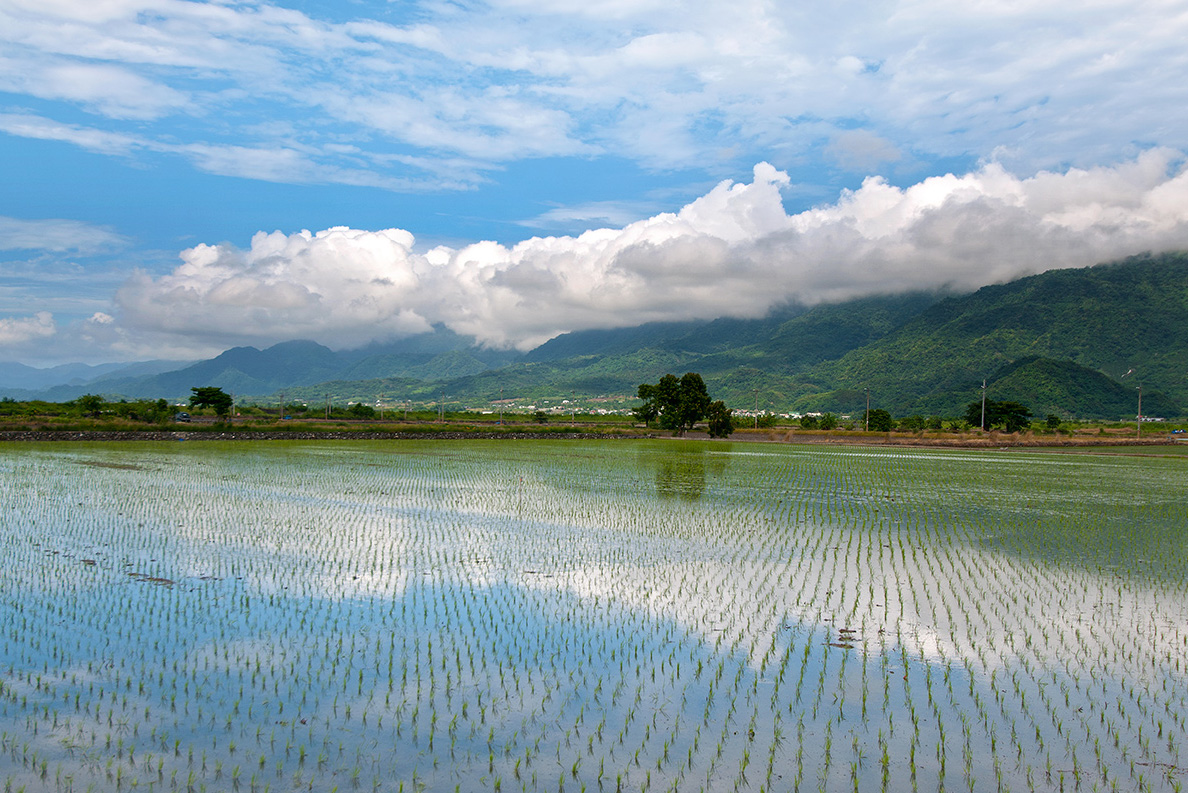 大坡池