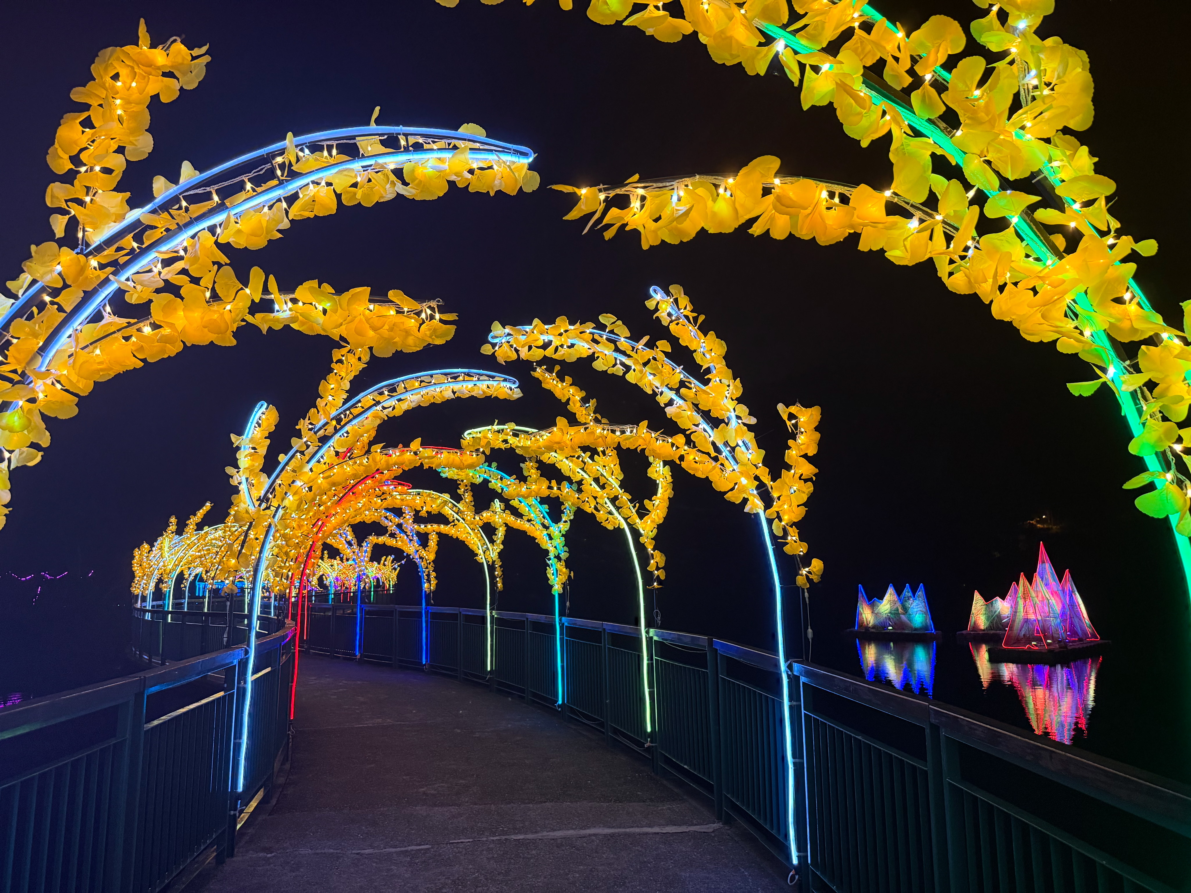 2025花莲鲤鱼潭仲夏水岸光影节-拾光隧道