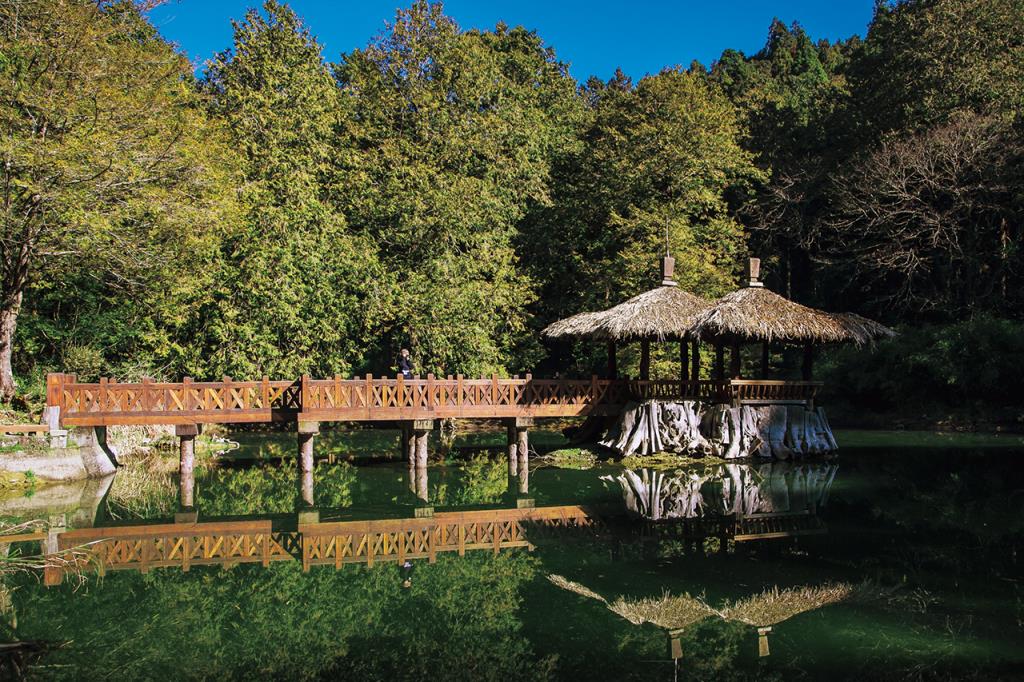 阿里山国家森林遊楽区