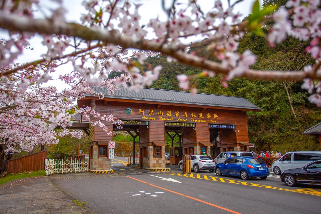 阿里山国家森林遊楽区