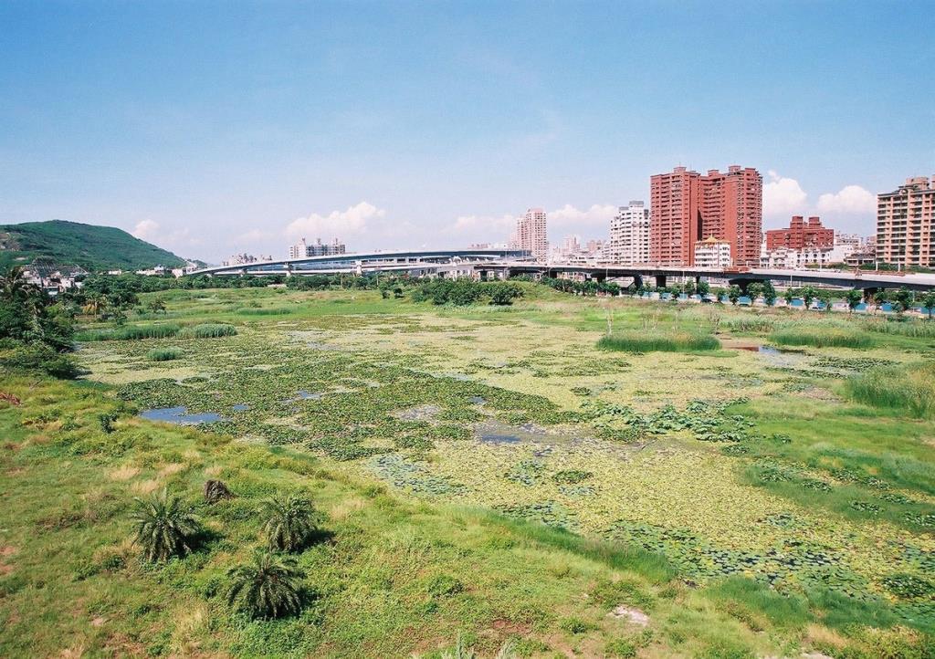 洲仔湿地公園