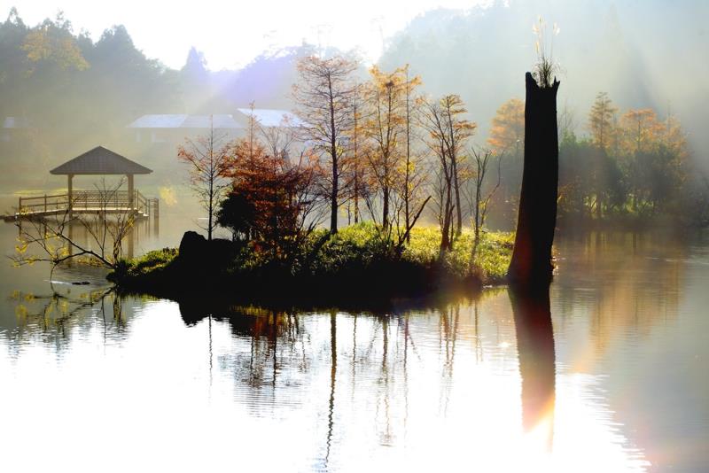 明池森林遊楽区