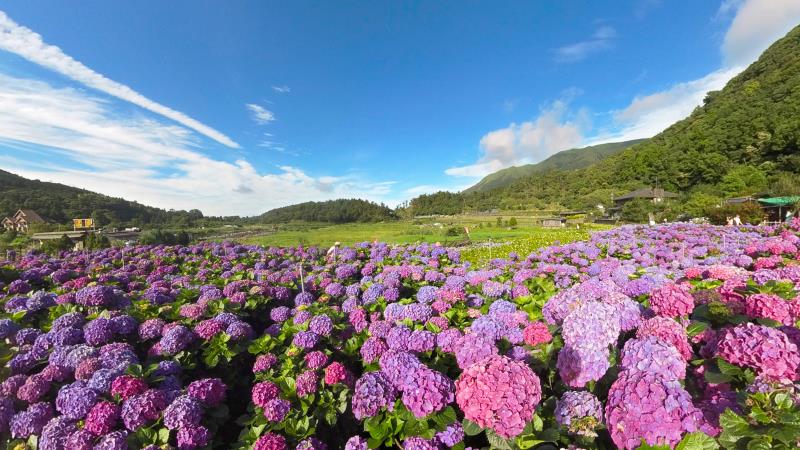 陽明山国家公園