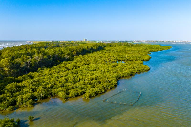 好美寮自然保護区