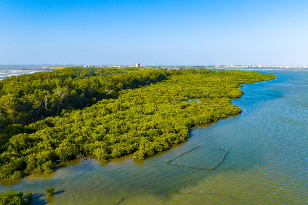 好美寮自然保護区
