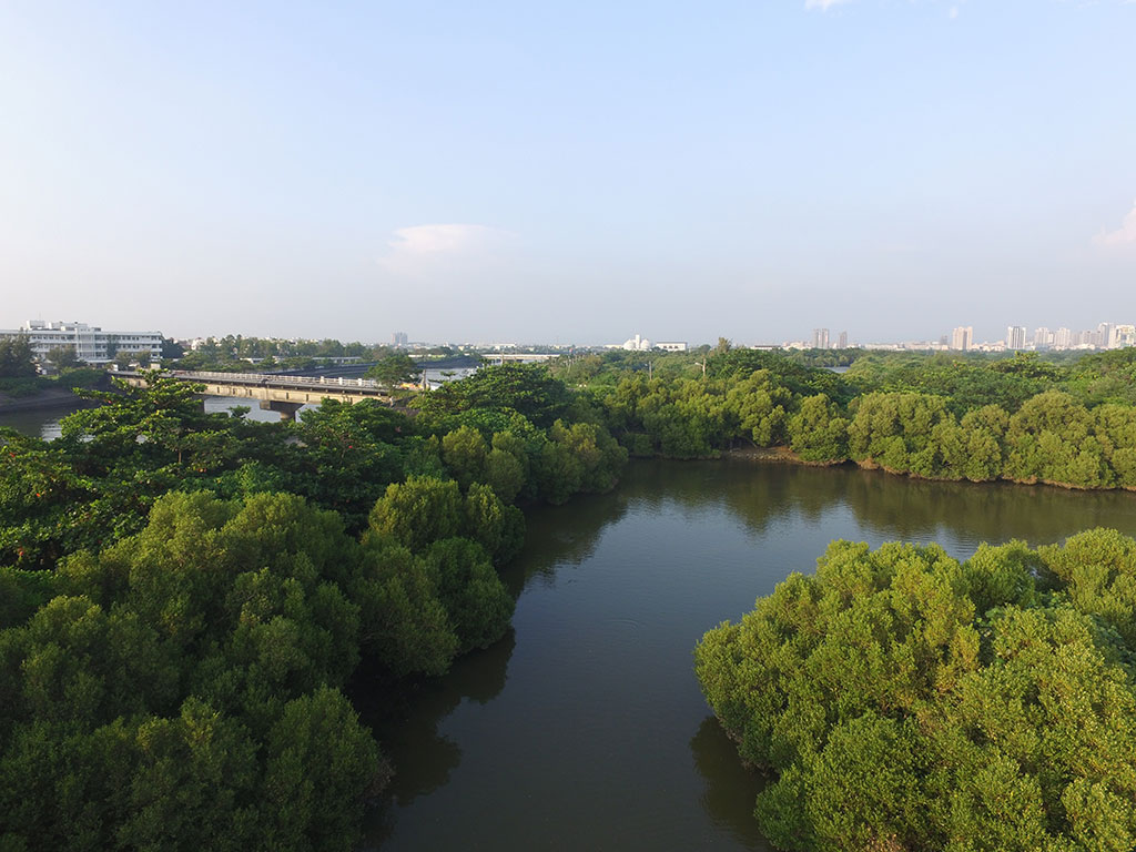 援中港湿地公園