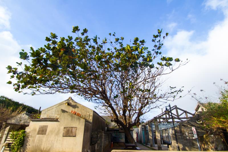 篤行十村眷村文化園区