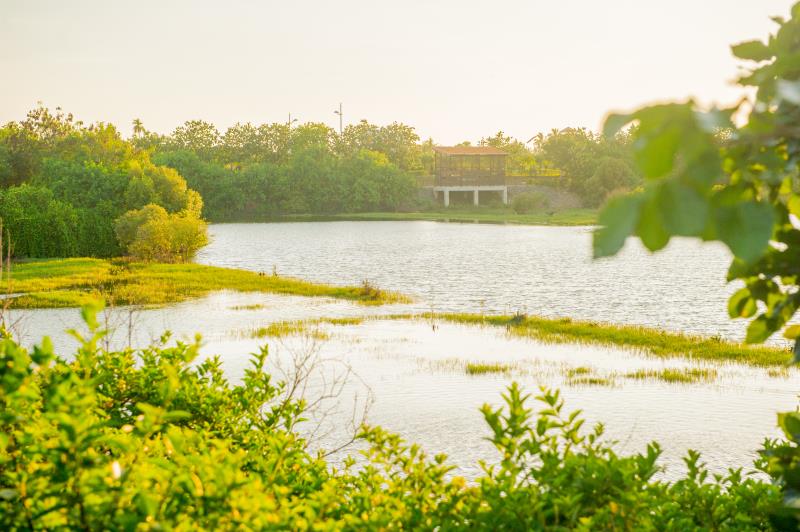 大潭湿地公園