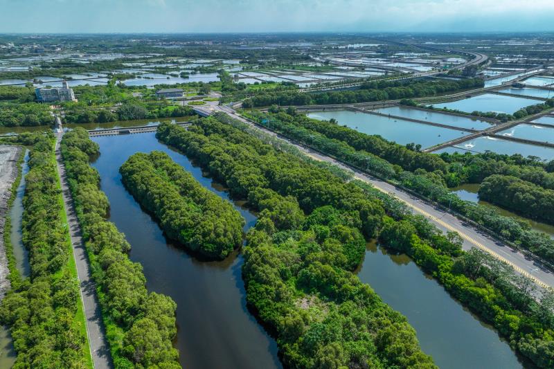 左岸の湿地公園