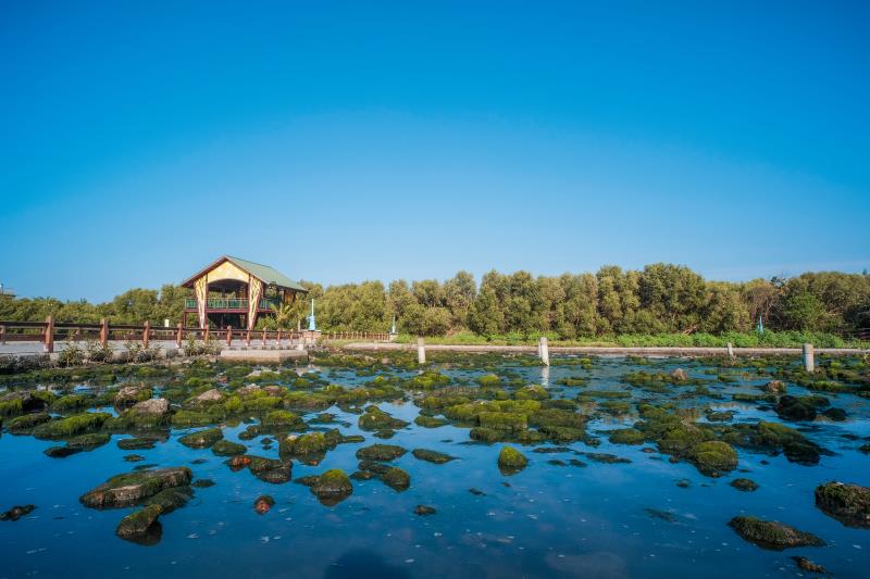 右岸の湿地公園