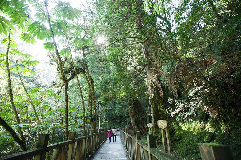 拉拉山 桃園市