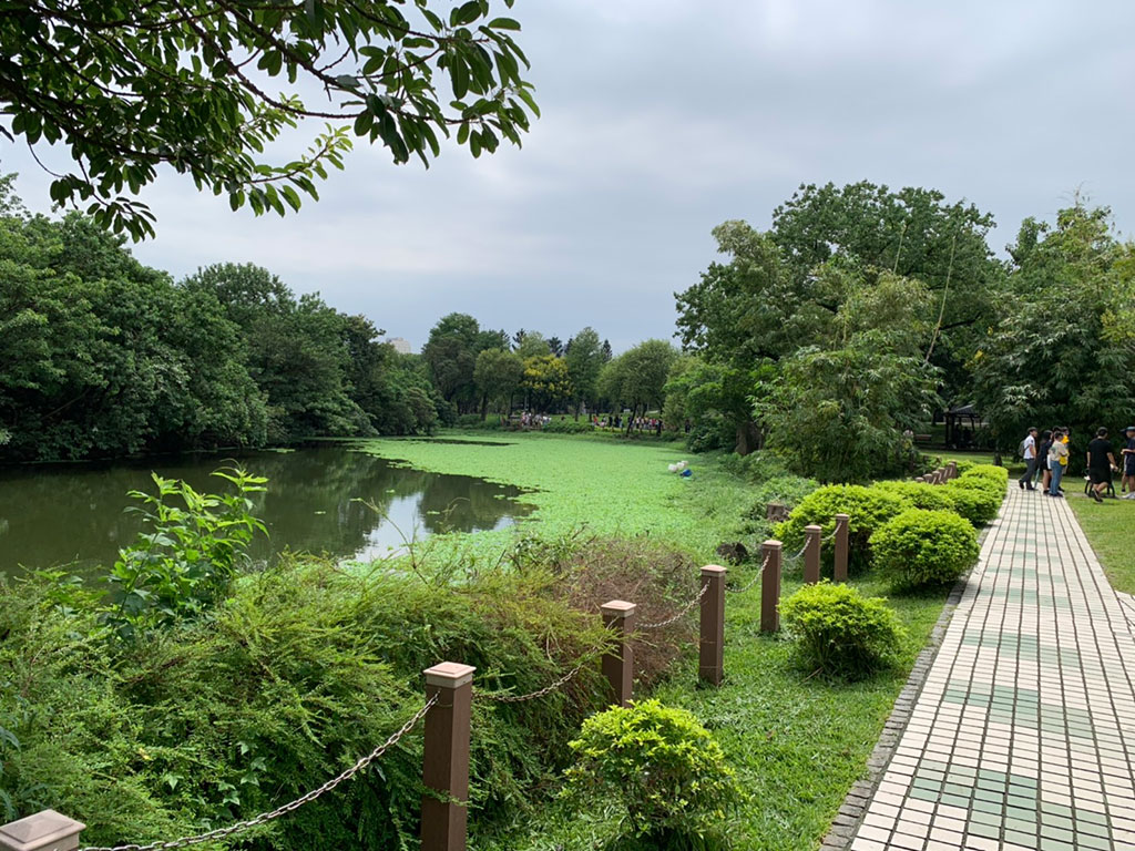 台北 大安森林公園の画像 大安森林公園 > 台北市 > 交通部観光署