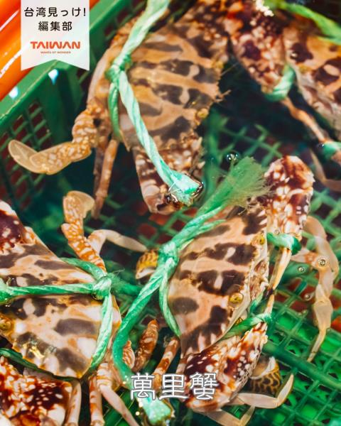 大家好（皆）～編集部！台湾秋味覚「萬里蟹」！ 「萬里蟹」20 ...