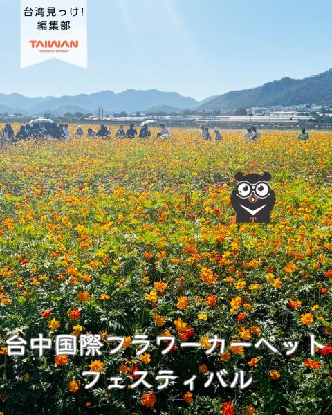 大家好（皆）～編集部！毎年11月台中市新社区開催「台中国際（ ...