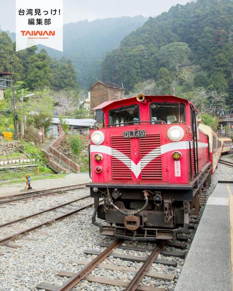 大家好（皆）～編集部！台湾南部嘉義県2026年3月3日15日 ...