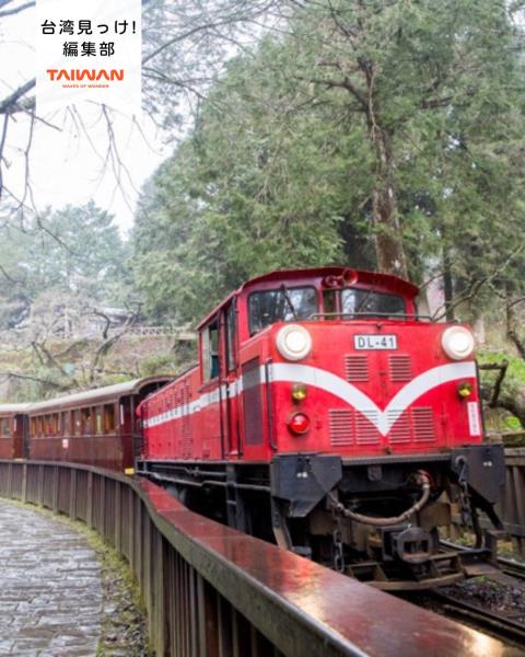 大家好（皆）～編集部！台湾南部嘉義県2026年3月15日「2 ...