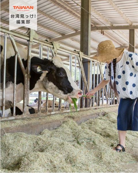 大家好（皆）～編集部！花蓮県「瑞穂」滋養豊土壌清浄水恵瑞穂農 ...