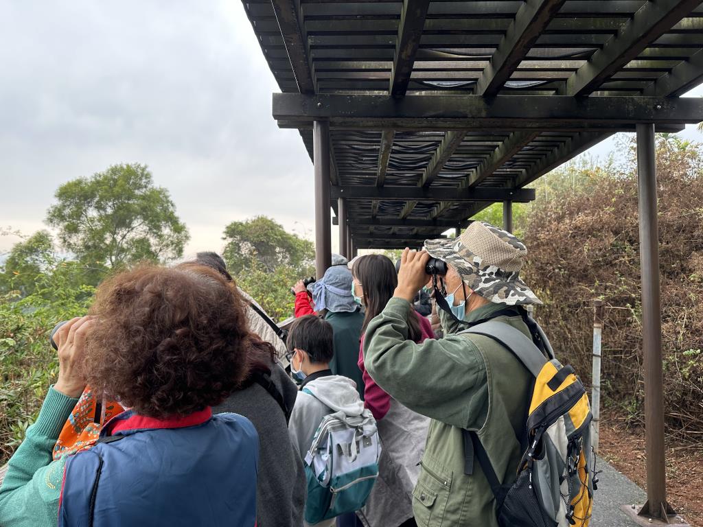 横山鷹観賞台でタカを観賞  年度：2024  写真提供：參山國家風景區管理處