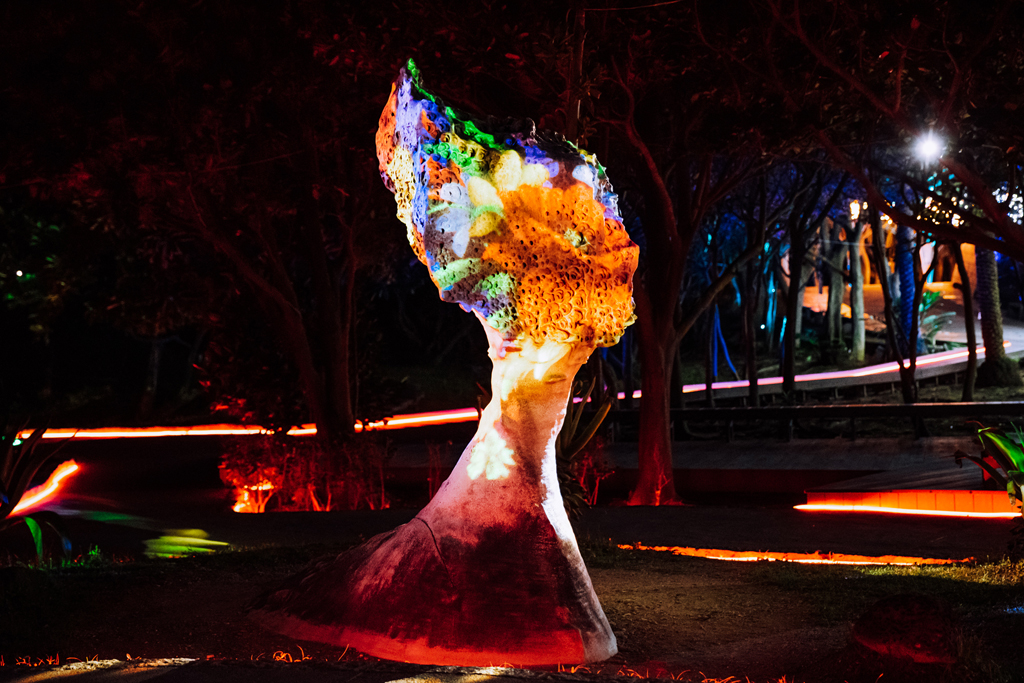 野柳石光-女王夜間訪問-05  年度：2023  写真提供：北海岸及觀音山國家風景區管理處